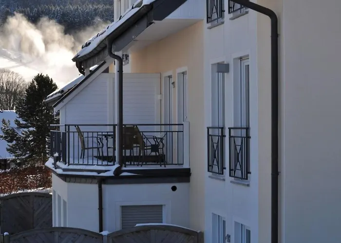 Grosszuegige Apartment Willingen (Upland)